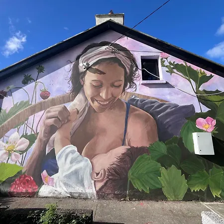 The Old Knitting Factory Apartmán Carraroe